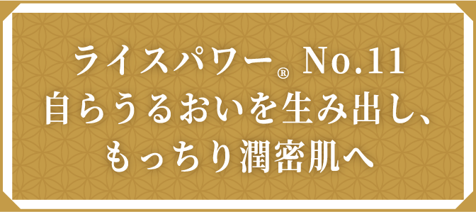 ライスパワー&reg; No.11自らうるおいを生み出し、もっちり潤密肌へ