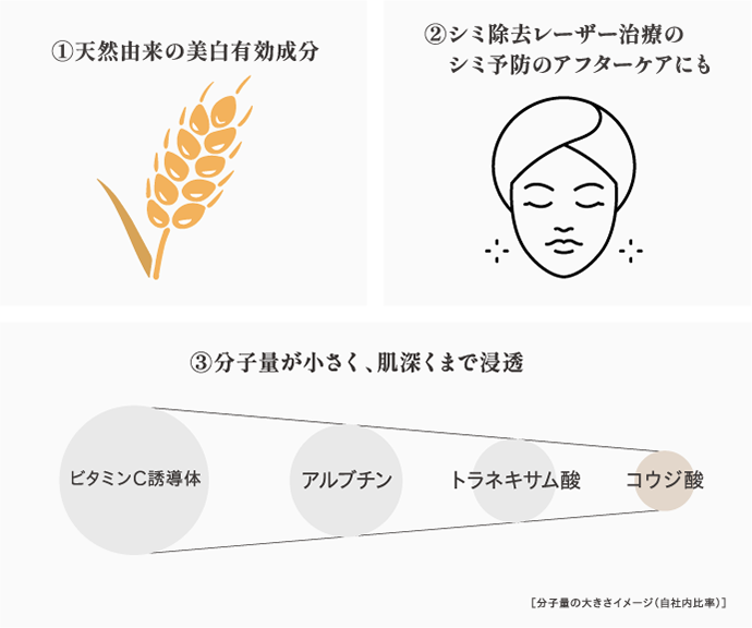 美白有効成分コウジ酸の魅力