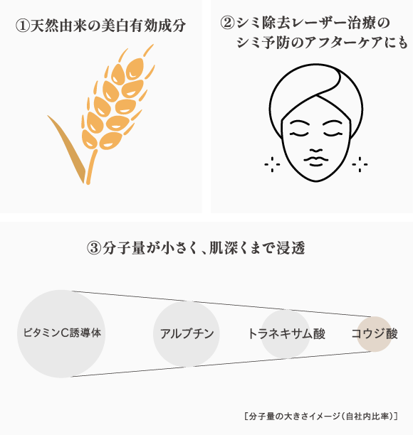 美白有効成分コウジ酸の魅力