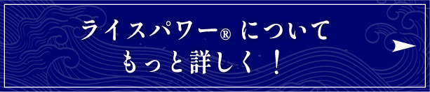 ライスパワー&reg;についてもっと詳しく！