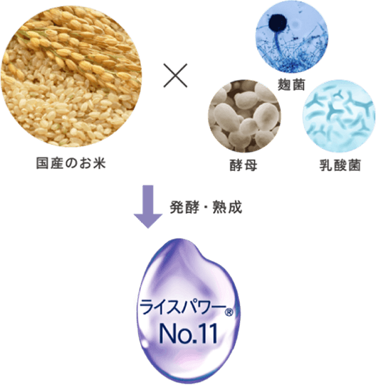 伝統技術×最先端科学の融合