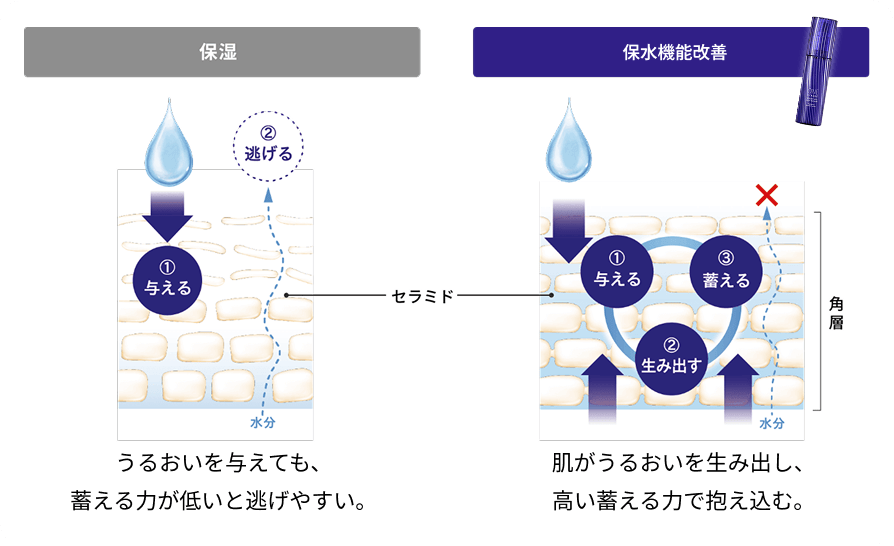 うるおいを与えても蓄える力が低いと逃げやすい。肌がうるおいを生み出し、高い蓄える力で抱え込む。