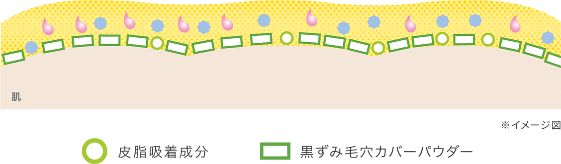 肌に商品を塗布した断面のイメージ図　皮脂吸着成分、黒ずみ毛穴カバーパウダー