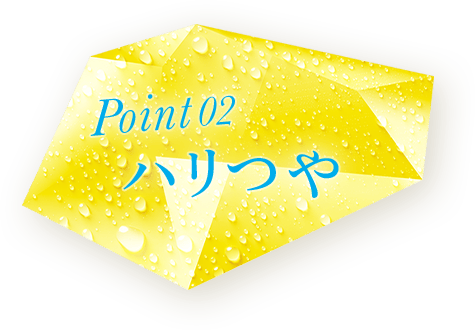 Point02 ハリつや