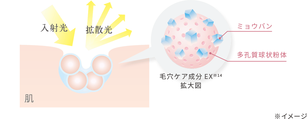 入射光 肌 拡散光 毛穴ケア成分EX※14 拡大図 ミョウバン 多孔質球状粉体 ※イメージ