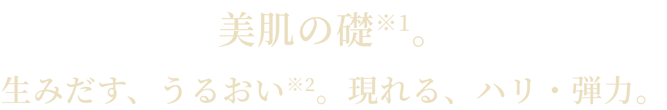美肌の礎※1。生みだす、うるおい※2。現れる、ハリ・弾力。