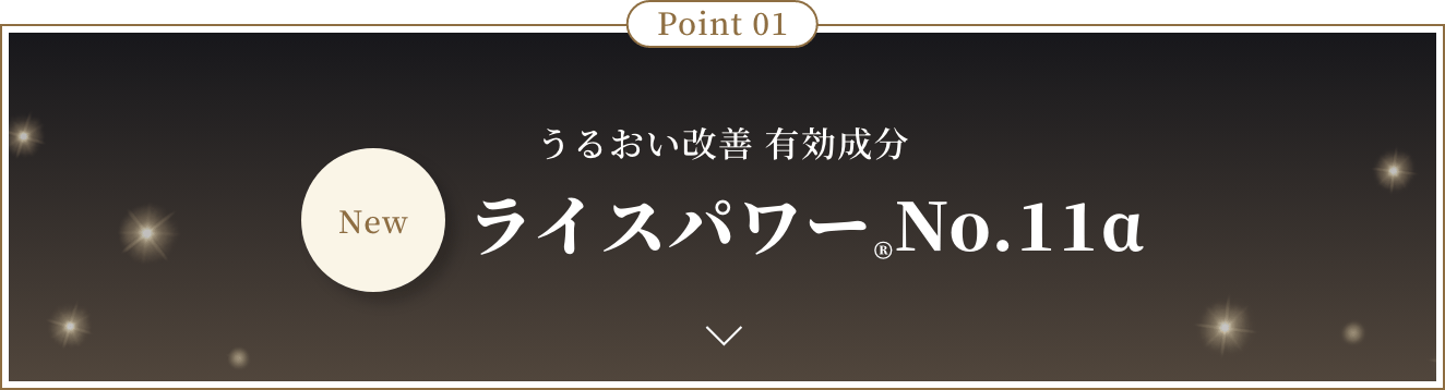Point 01 New うるおい改善 有効成分 ライスパワー&reg;No.11α