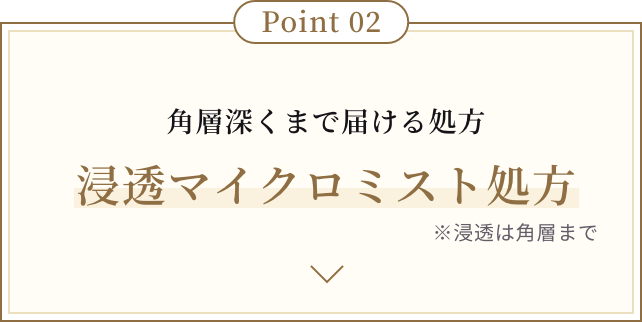 Point 02 角層深くまで届ける処方 浸透マイクロミスト処方 ※浸透は角層まで
