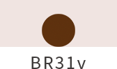 BR31v