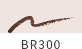 BR300