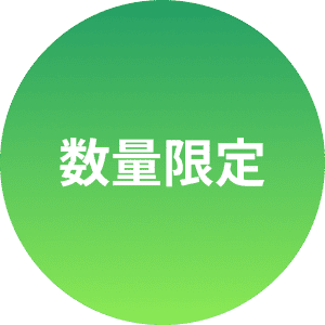 数量限定