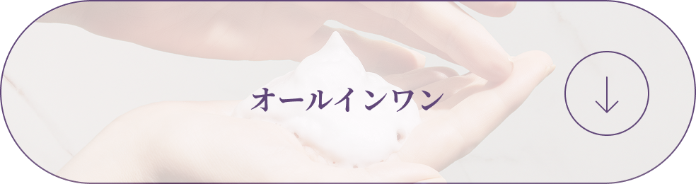 オールインワン