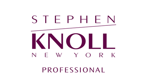 STEPHEN KNOLL NEW YORK PROFESSIONAL