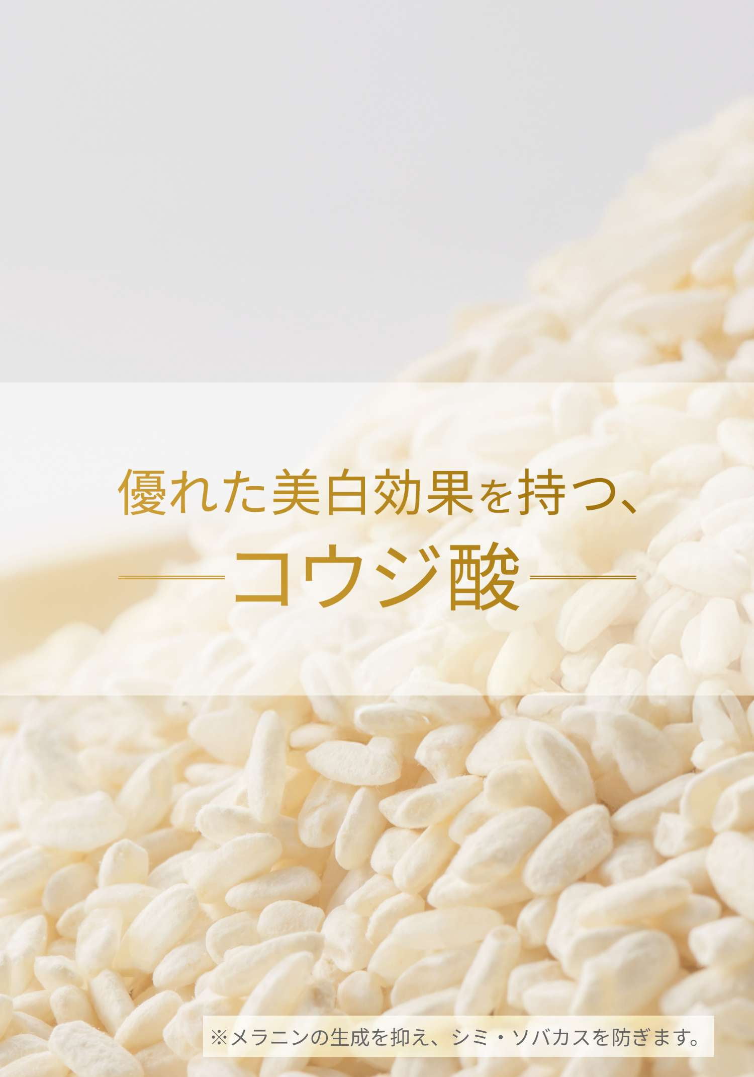 優れた美白効果を持つ、コウジ酸