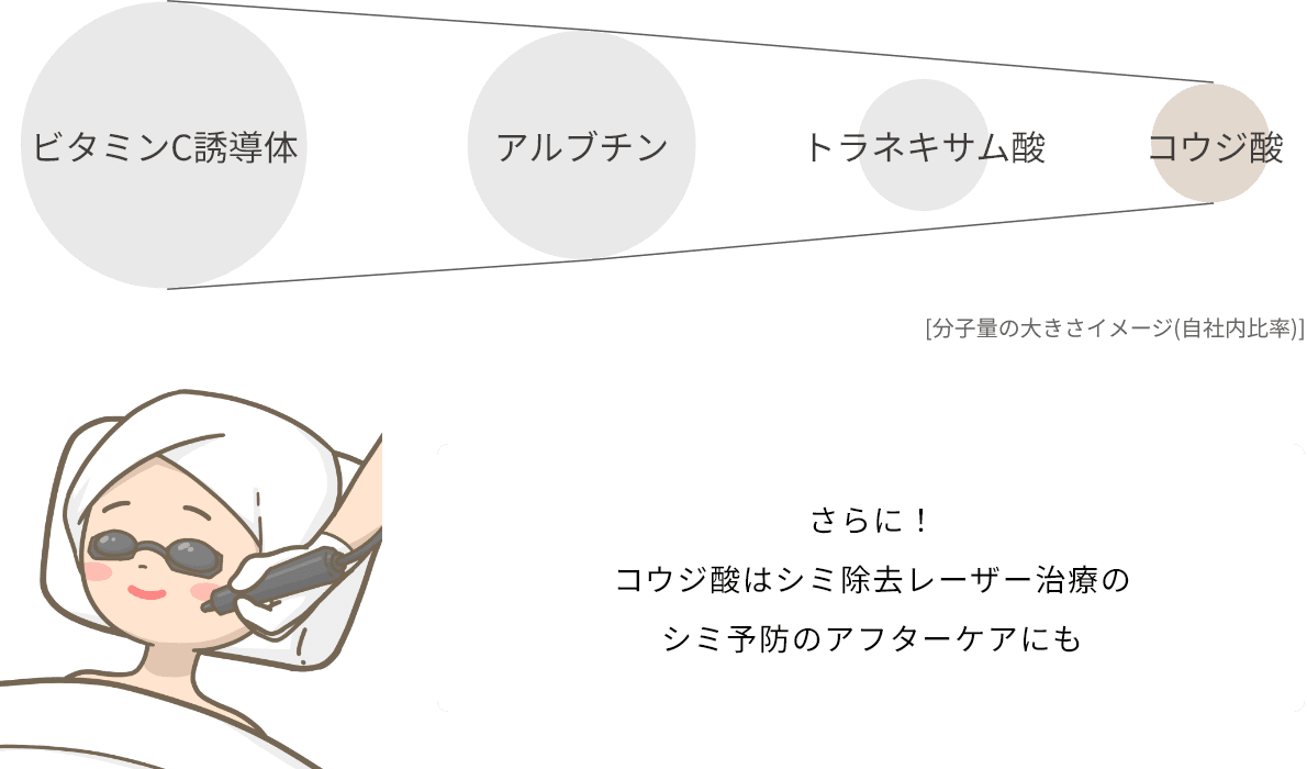 ビタミンC誘導体アルブチントラネキサム酸コウジ酸[分子量の大きさイメージ(自社内比率)]さらに！コウジ酸はシミ除去レーザー治療のシミ予防のアフターケアにも