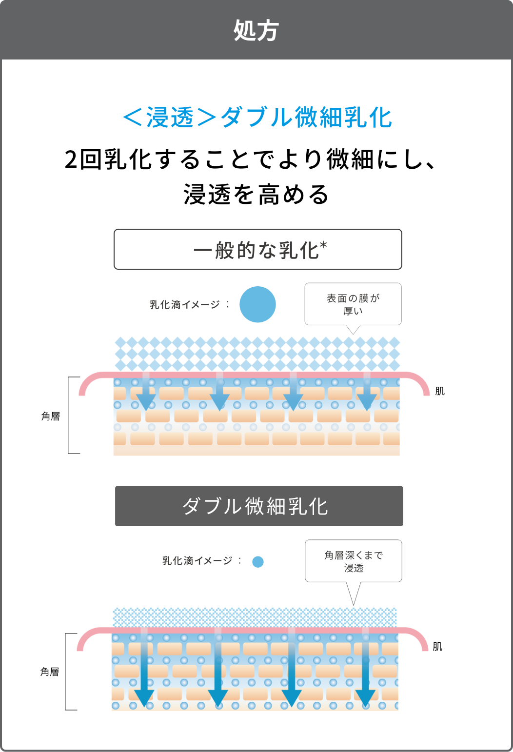 処方 ＜浸透＞ダブル微細乳化 2回乳化することでより微細にし、浸透を高める