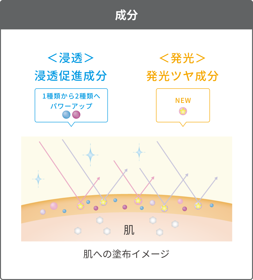 成分 ＜浸透＞浸透促進成分 ＜発光＞発光ツヤ成分