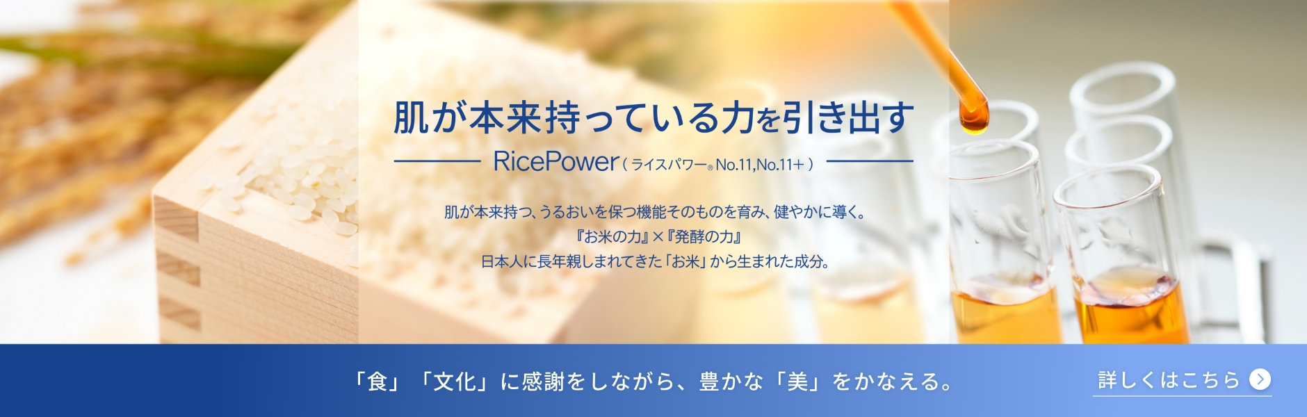 肌が本来持っている力を引き出す RicePower (ライスパワー®No.11,No.11+) 肌が本来持つ、うるおいを保つ機能そのものを育み、健やかに導く。 『お米の力』 x 『発酵の力』日本人に長年親しまれてきた「お米」 から生まれた成分。「食」「文化」に感謝をしながら、豊かな 「美」 をかなえる。 詳しくはこちら
