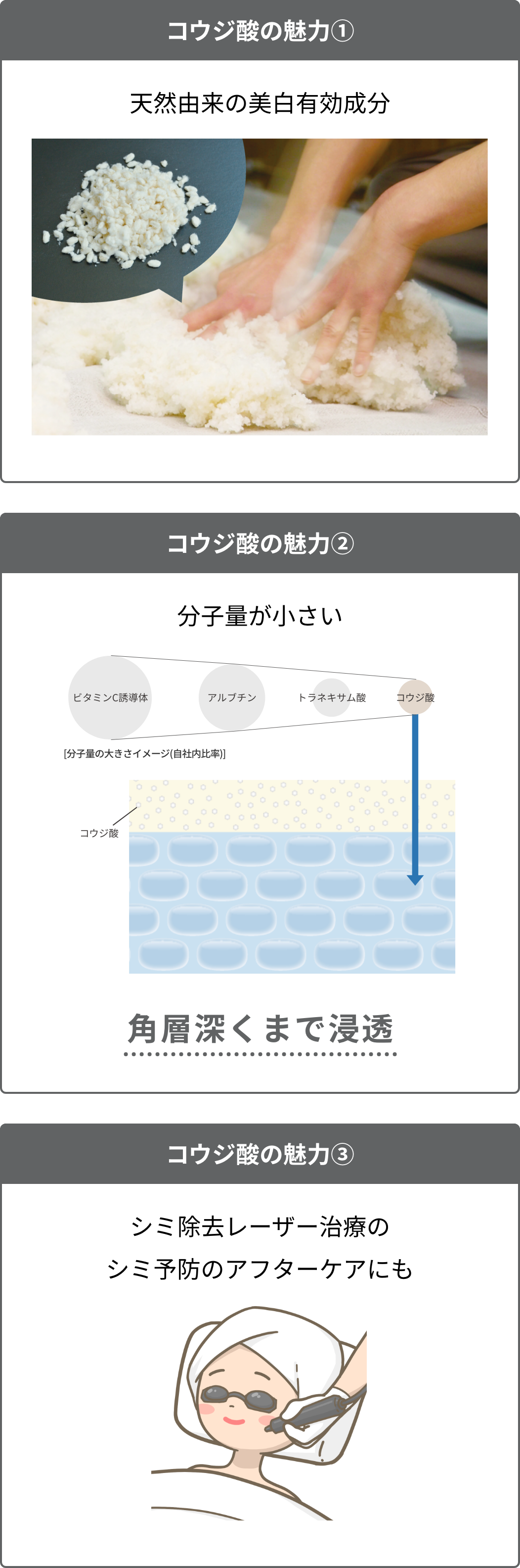 コウジ酸の魅力① 天然由来の美白有効成分 コウジ酸の魅力② 分子量が小さい 角層深くまで浸透 コウジ酸の魅力③ シミ除去レーザー治療のシミ予防のアフターケアにも