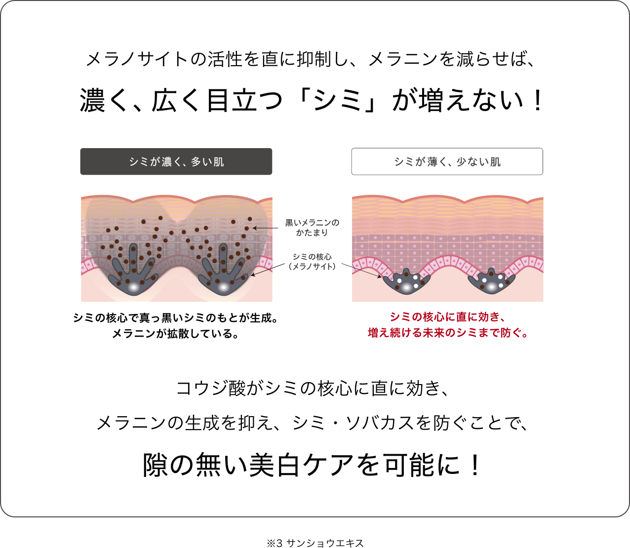 メラノサイトの活性を直に抑制し、メラニンを減らせば、濃く、広く目立つ「シミ」が増えない!