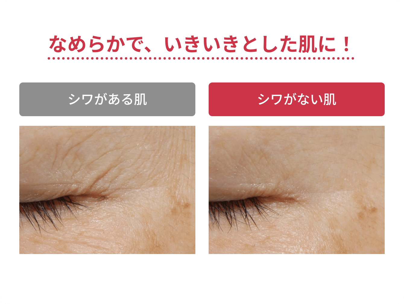 なめらかで、いきいきとした肌に！