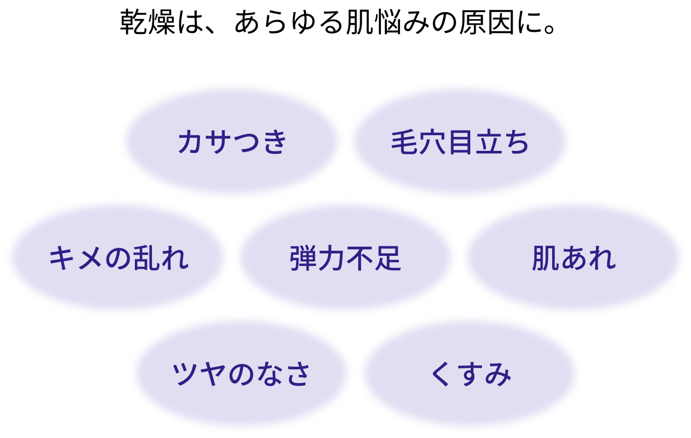 乾燥は、あらゆる肌悩みの原因に。