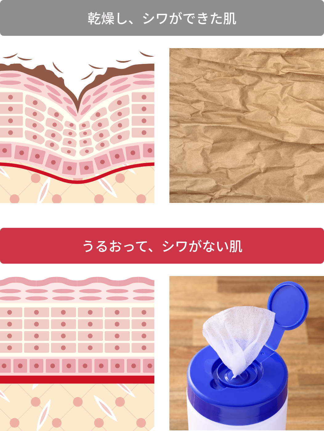 THE WRINKLESS W｜ONE BY KOSE｜ Maison KOSÉ(メゾンコーセー)