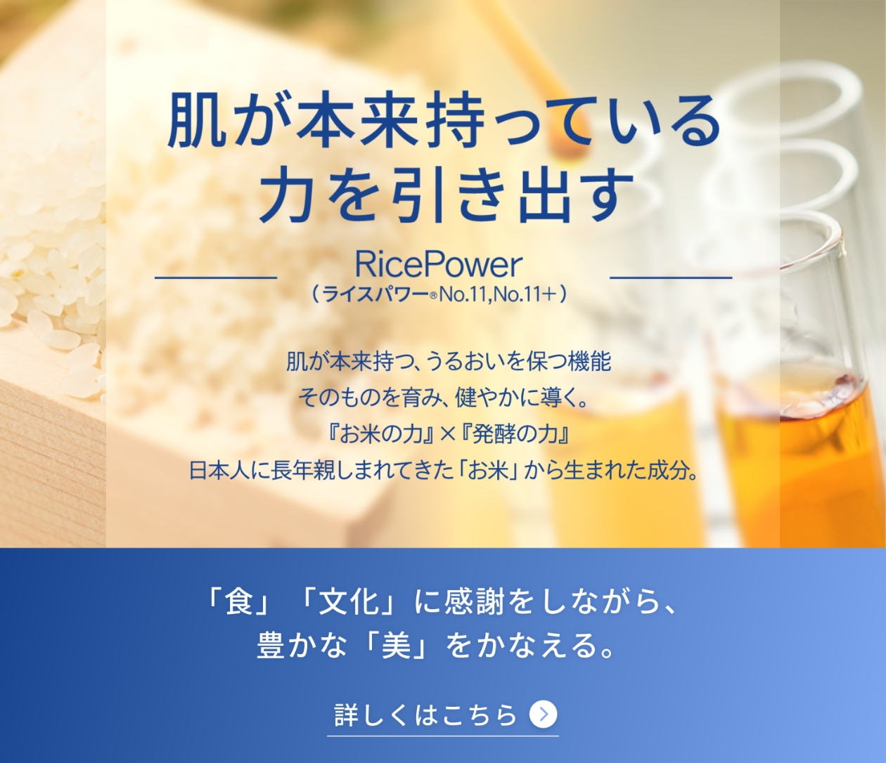 肌が本来持っている力を引き出す RicePower (ライスパワー&reg;No.11,No.11+) 肌が本来持つ、うるおいを保つ機能そのものを育み、健やかに導く。 『お米の力』 x 『発酵の力』日本人に長年親しまれてきた「お米」 から生まれた成分。「食」「文化」に感謝をしながら、豊かな 「美」 をかなえる。 詳しくはこちら