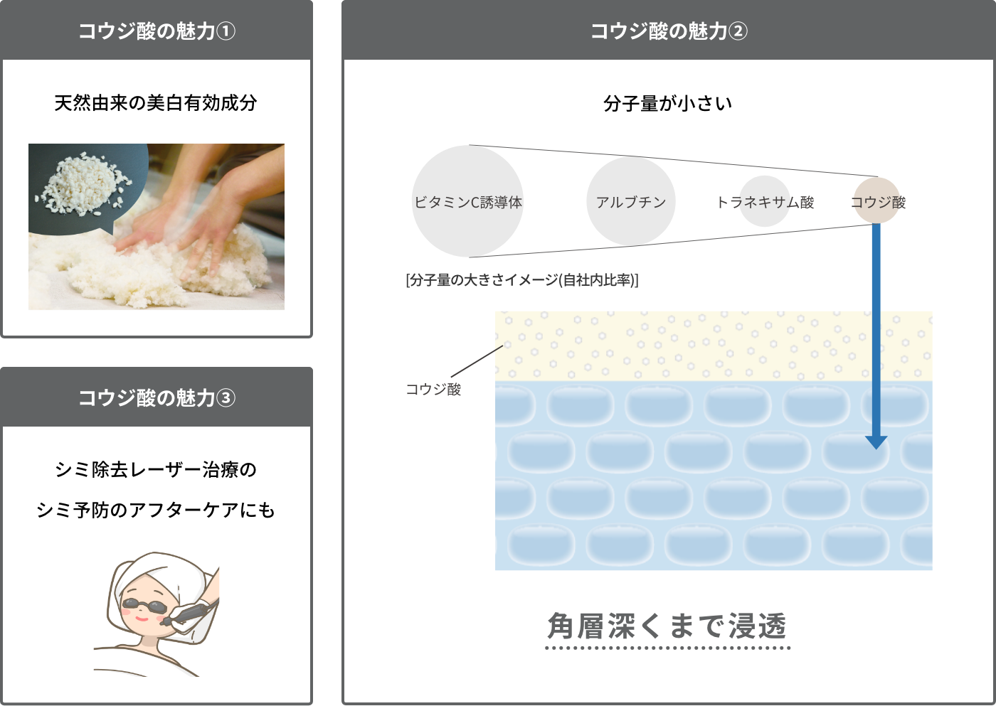 コウジ酸の魅力① 天然由来の美白有効成分 コウジ酸の魅力② 分子量が小さい 角層深くまで浸透 コウジ酸の魅力③ シミ除去レーザー治療のシミ予防のアフターケアにも