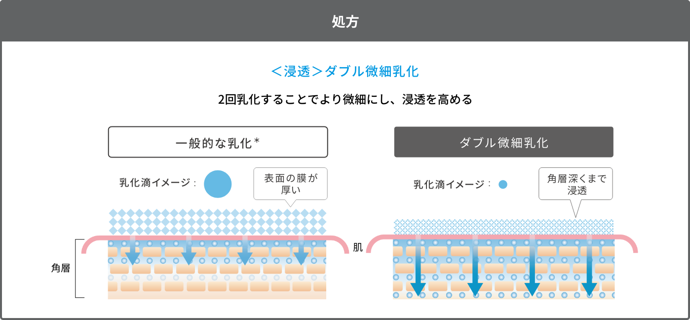 処方 ＜浸透＞ダブル微細乳化 2回乳化することでより微細にし、浸透を高める