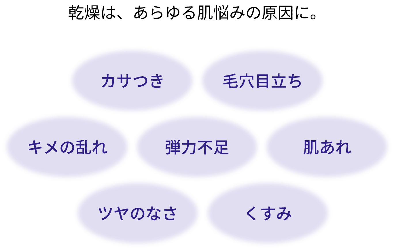乾燥は、あらゆる肌悩みの原因に。