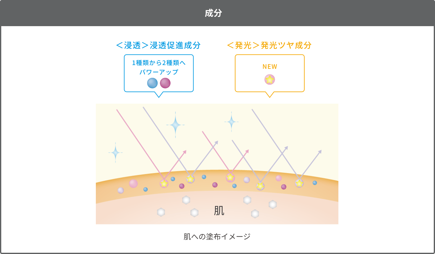 成分 <浸透>浸透促進成分 <発光>発光ツヤ成分