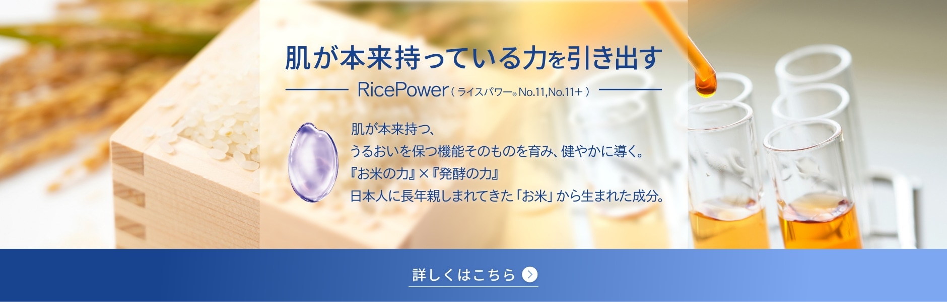 肌が本来持っている力を引き出す RicePower (ライスパワー®No.11,No.11+) 肌が本来持つ、うるおいを保つ機能そのものを育み、健やかに導く。 『お米の力』 x 『発酵の力』日本人に長年親しまれてきた「お米」 から生まれた成分。詳しくはこちら