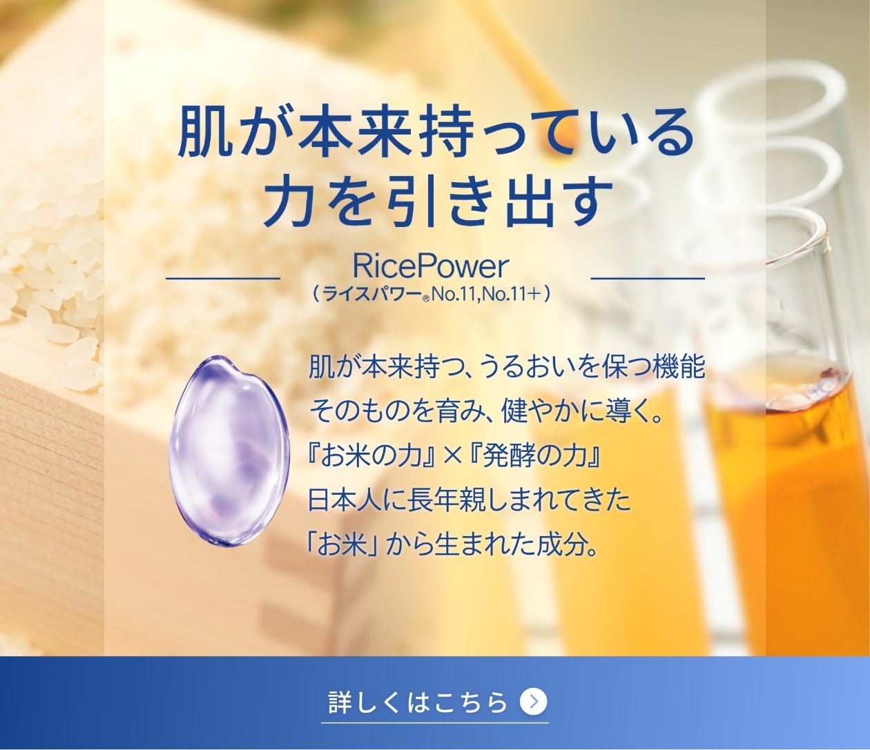 肌が本来持っている力を引き出す RicePower (ライスパワー&reg;No.11,No.11+) 肌が本来持つ、うるおいを保つ機能そのものを育み、健やかに導く。 『お米の力』 x 『発酵の力』日本人に長年親しまれてきた「お米」 から生まれた成分。詳しくはこちら