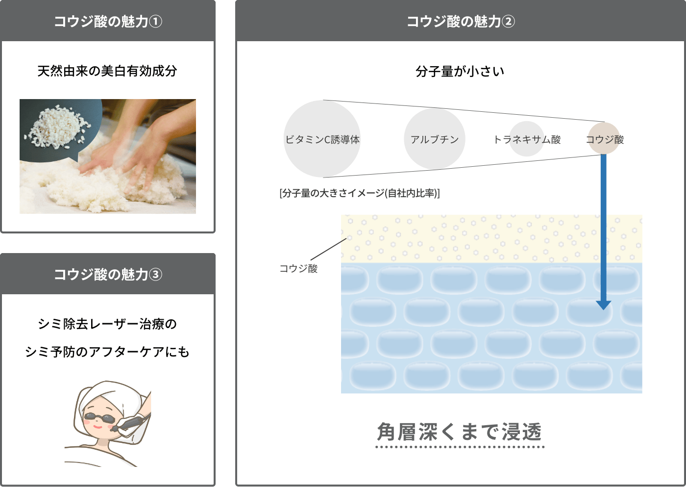 コウジ酸の魅力① 天然由来の美白有効成分 コウジ酸の魅力② 分子量が小さい 角層深くまで浸透 コウジ酸の魅力③ シミ除去レーザー治療のシミ予防のアフターケアにも
