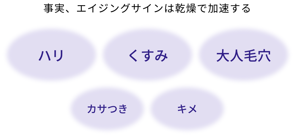 事実、エイジングサインは乾燥で加速する