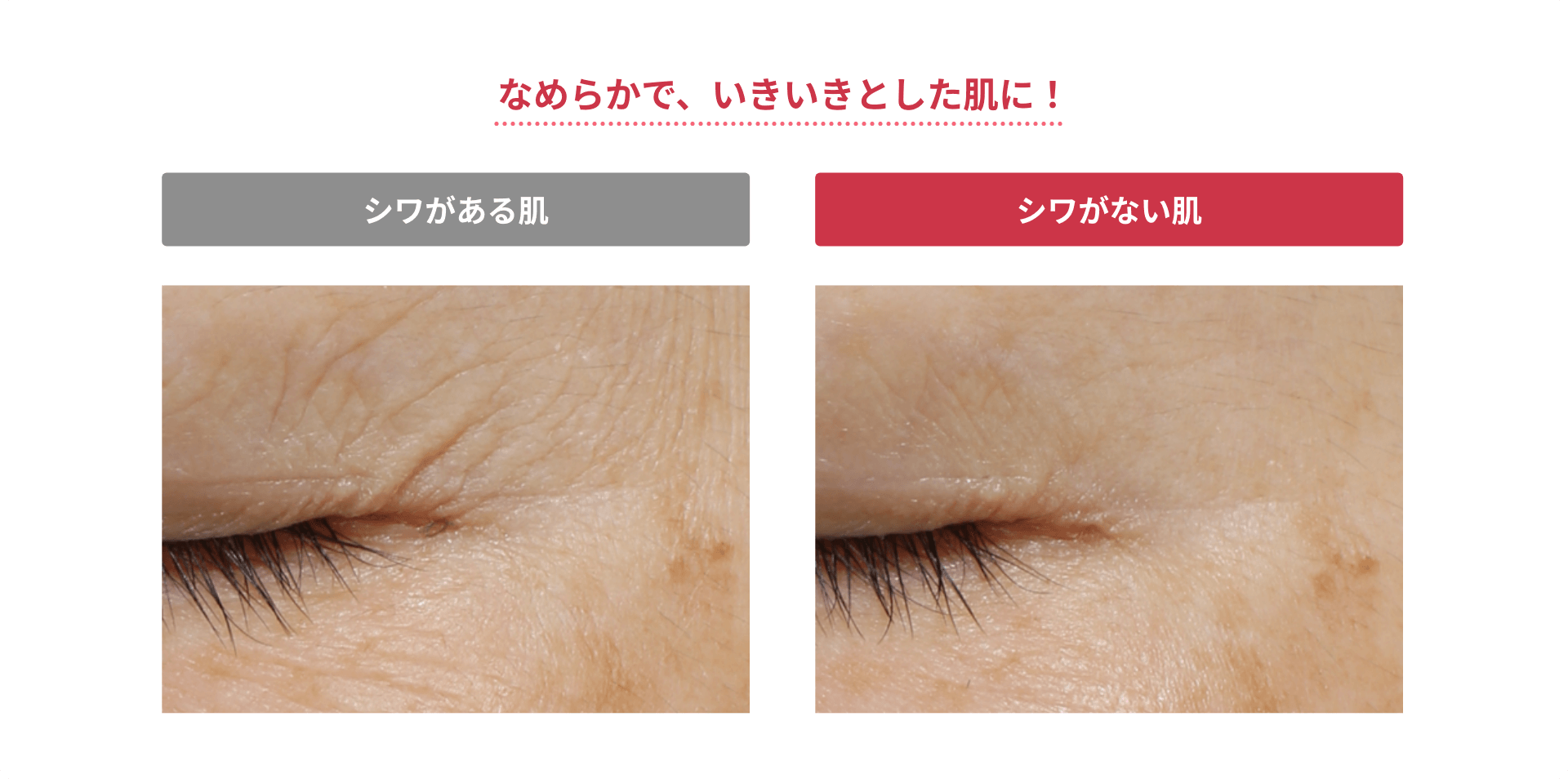 なめらかで、いきいきとした肌に!