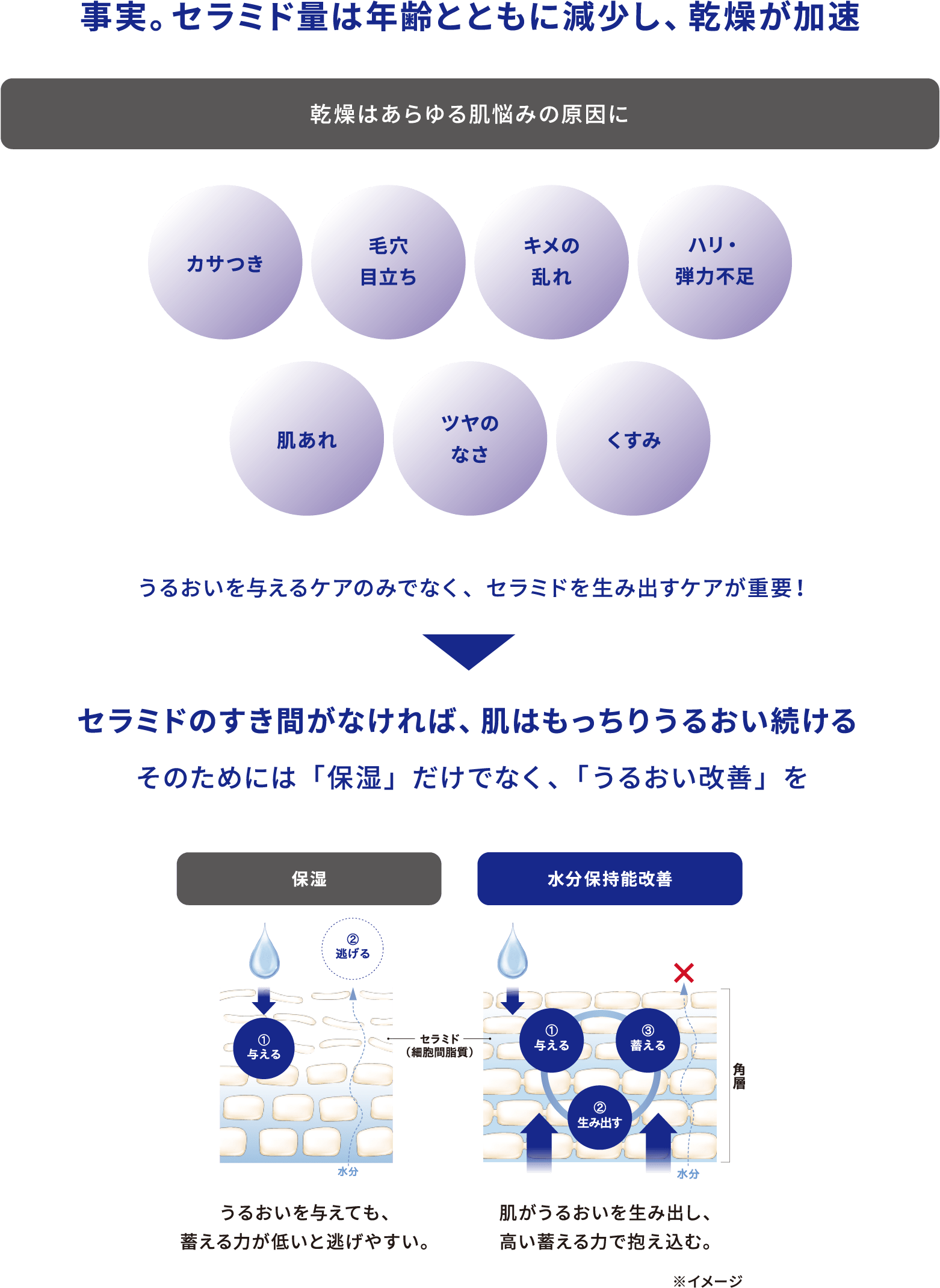 事実。セラミド量は年齢とともに減少し、乾燥が加速 乾燥はあらゆる肌悩みの原因に カサつき 毛穴 目立ち キメの乱れ ハリ・弾力不足 肌あれ ツヤのなさ くすみ うるおいを与えるケアのみでなく、セラミドを生み出すケアが重要！ セラミドのすき間がなければ、肌はもっちりうるおい続ける そのためには「保湿」だけでなく、「うるおい改善」を