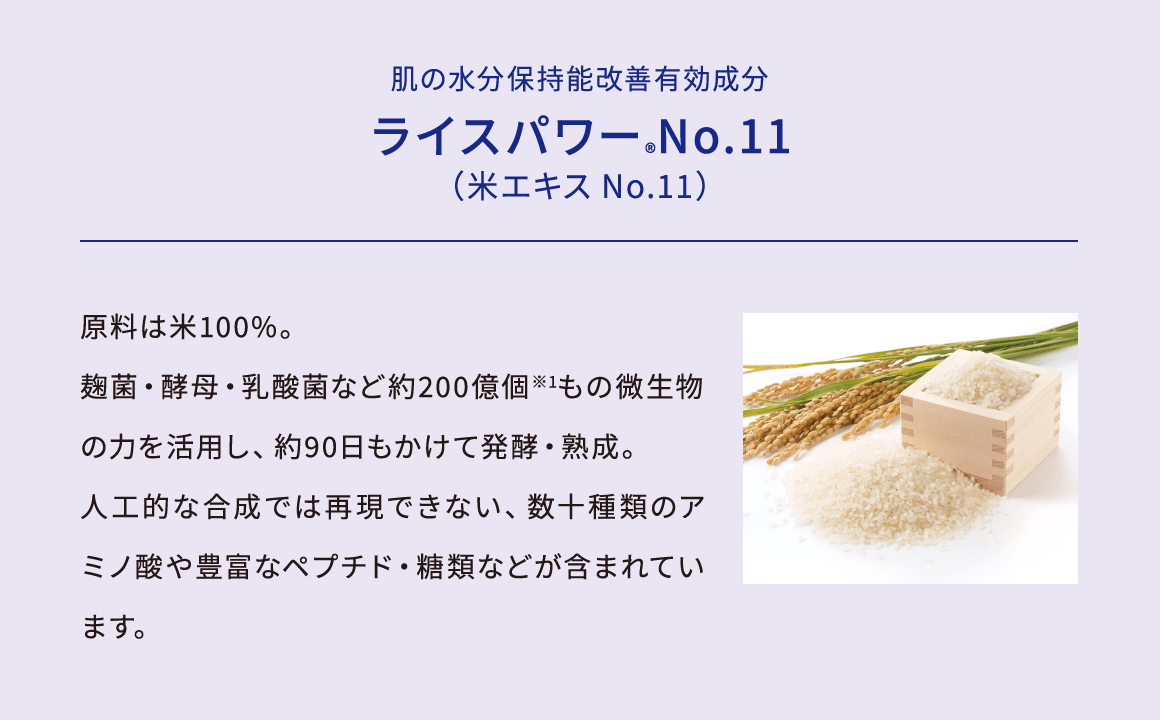 肌の水分保持能改善有効成分 ライスパワー®No.11（米エキスNo.11）原料は米100%。麹菌・酵母・乳酸菌など約200億個※1もの微生物の力を活用し、約90日もかけて発酵・熟成。人工的な合成では再現できない、数十種類のアミノ酸や豊富なペプチド・糖類などが含まれています