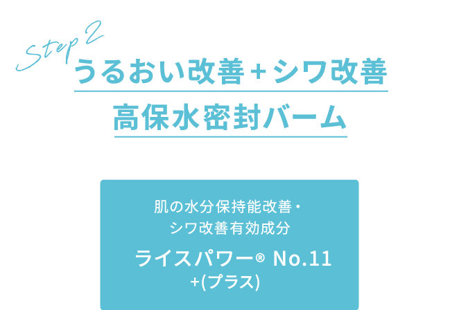 うるおい改善+シワ改善 高保水密封バーム 肌の水分保持能改善・シワ改善有効成分 ライスパワー® No.11+(プラス)  