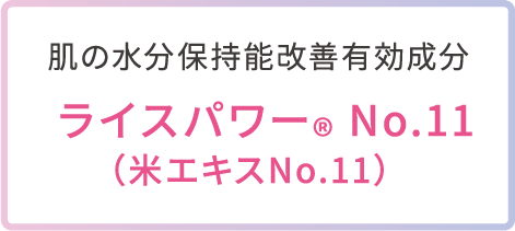 肌の水分保持能改善有効成分 ライスパワー® No.11（米エキスNo.11）