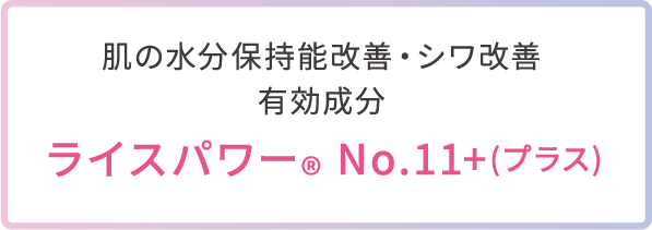 肌の水分保持能改善・シワ改善 有効成分 ライスパワー® No.11+(プラス) 