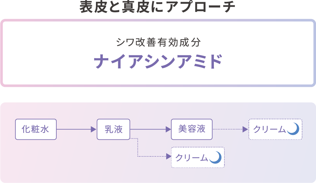 表皮と真皮にアプローチ シワ改善有効成分 ナイアシンアミド