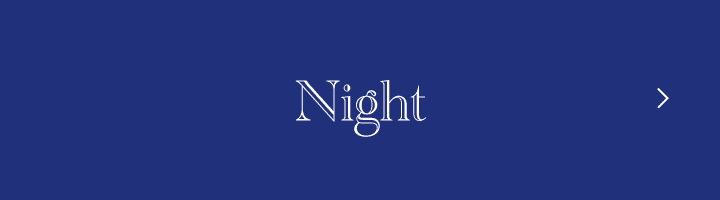 特別な日の冬メイク Night