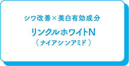 シワ改善×美白有効成分 リンクルホワイトN（ナイアシンアミド）