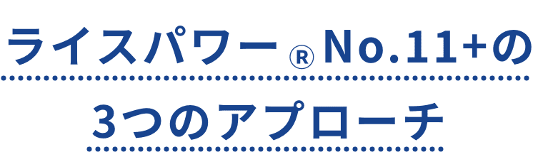 ライスパワー   No.11+の3つのアプローチ