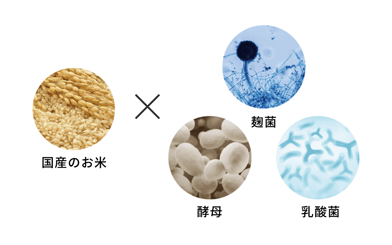 ライスパワーエキスとは？