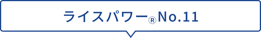 ライスパワーNo.11+