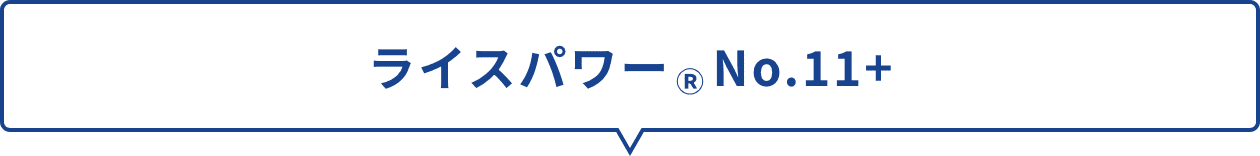 ライスパワーNo.11+