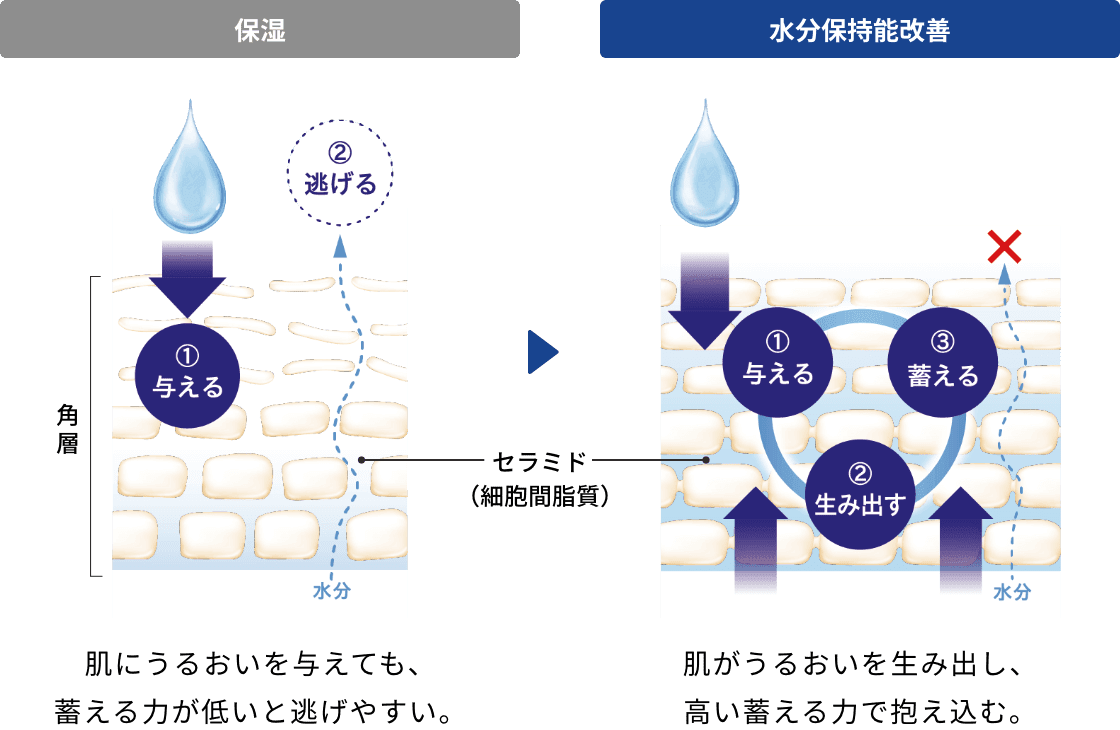 保湿:肌にうるおいを与えても、蓄える力が低いと逃げやすい。水分保持能改善:肌がうるおいを生み出し、高い蓄える力で抱え込む。